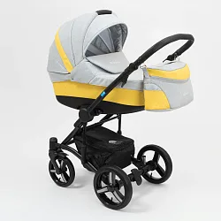 Детская коляска Mr Sandman West-East Premium 2 в 1