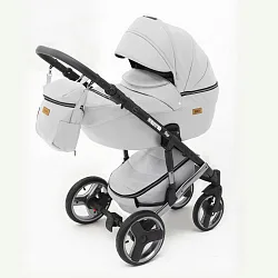 Детская коляска Ray Ultra Silver 2 в 1
