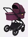 Детская коляска Rant Axiom 2 в 1 Purple — Фото