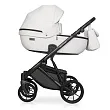 Детская коляска Riko Basic Montana Ecco 2 в 1 - Фото