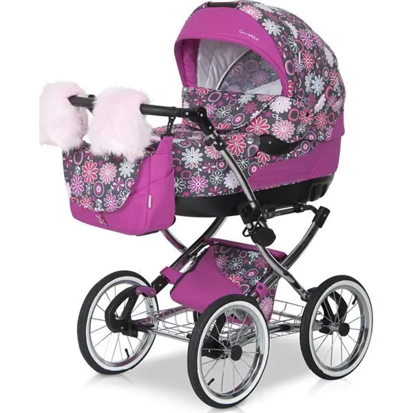 Детская коляска Caretto Michelle Color 2 в 1